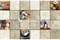 Block apolo tapas 31,6х48 см - фото 13586